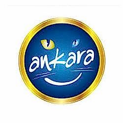 Ankara Büyükşehir